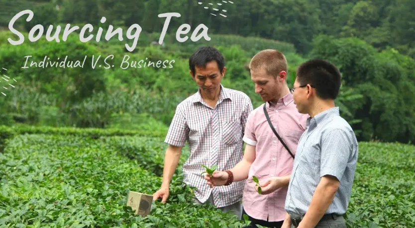 Hur man käller in te från China Leverantör Identifiering och vetting - ESG Deep Dive

 
 
 
